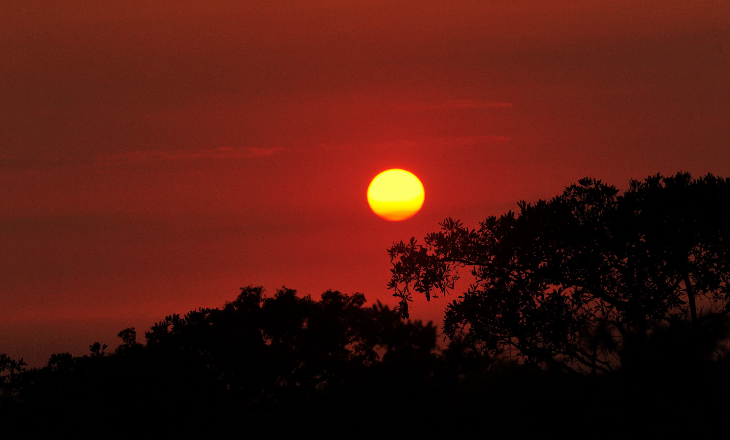 Kruger National Park [280 mm, 1/4000 sec at f / 10, ISO 3200]